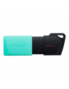 PEN DRIVE 256GB KINGSTON EXODIA USB 3.2 TURQUOISE