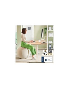 ASIENTO BALON LEITZ ANTIDESLIZANTE ERGO ACTIVE 55CM SILVER 2
