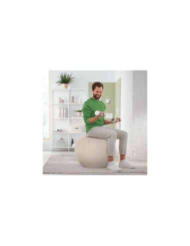 ASIENTO BALON LEITZ ANTIDESLIZANTE ERGO ACTIVE 55CM SILVER
