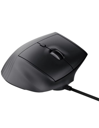 RATON TRUST GXT 145 REXXA USB RGB ERGONOMIC BLACK