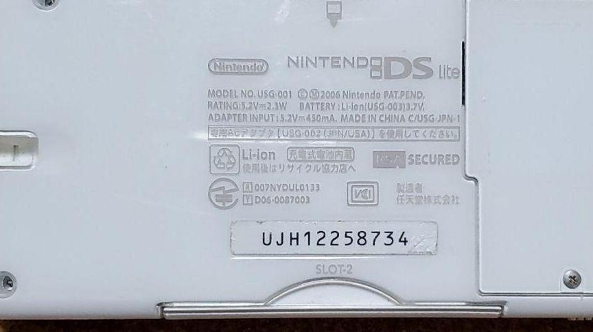 ⚠ジャンク品　Nintendo　DS　ソフト付き　Lite　充電器