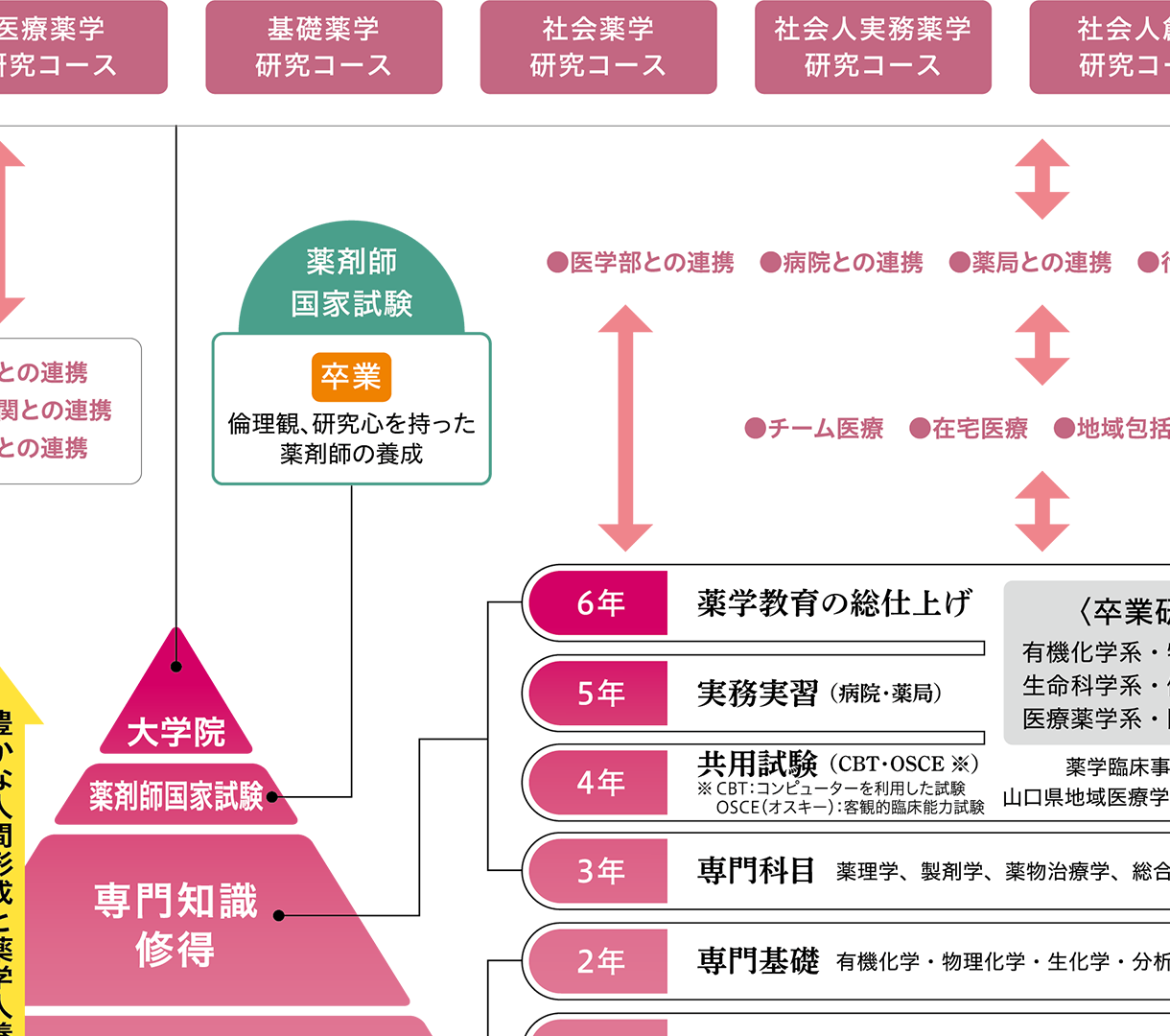 薬学部｜山陽小野田市立山口東京理科大学