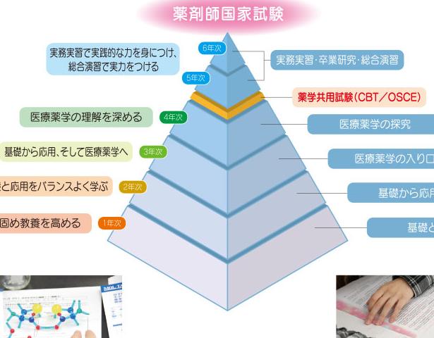 6年制プログラム・カリキュラム｜福岡薬学部 薬学科｜国際医療福祉大学 大川キャンパス